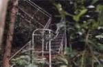 A&S Bushcare Services