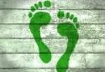 Carbon Footprint Analysis