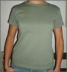 Certton Womens Scoop Neck Fitted T (Sagebrush)