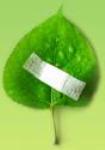Climate_Change