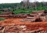 Ecogrow Has Undertaken A Commitment