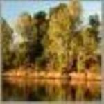 Environment1