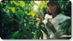 Environmental Sciences