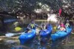 Family Kayak Tour - Adelaide Dolphin Sanctuary
