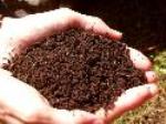 Good Products For Soil Health