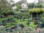 Heronswood garden
