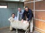 Instyle Takes Positive Action In Cessation Of Mulesing