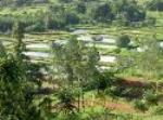 Integrated Biosystems Farming & Permaculture Training