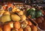 Sustainable Food