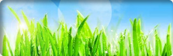 Green Grass